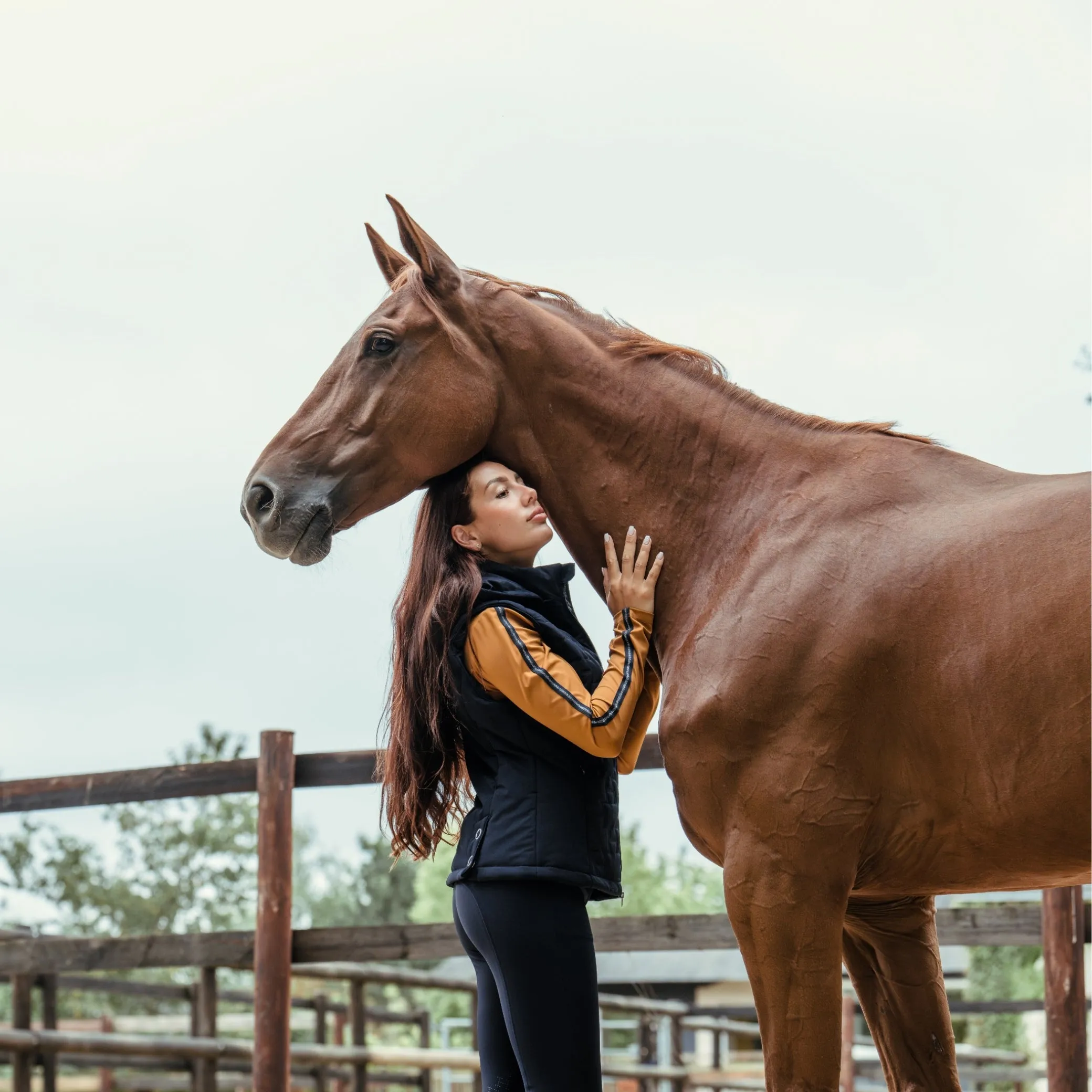 Harcour Bernie Bodywarmer