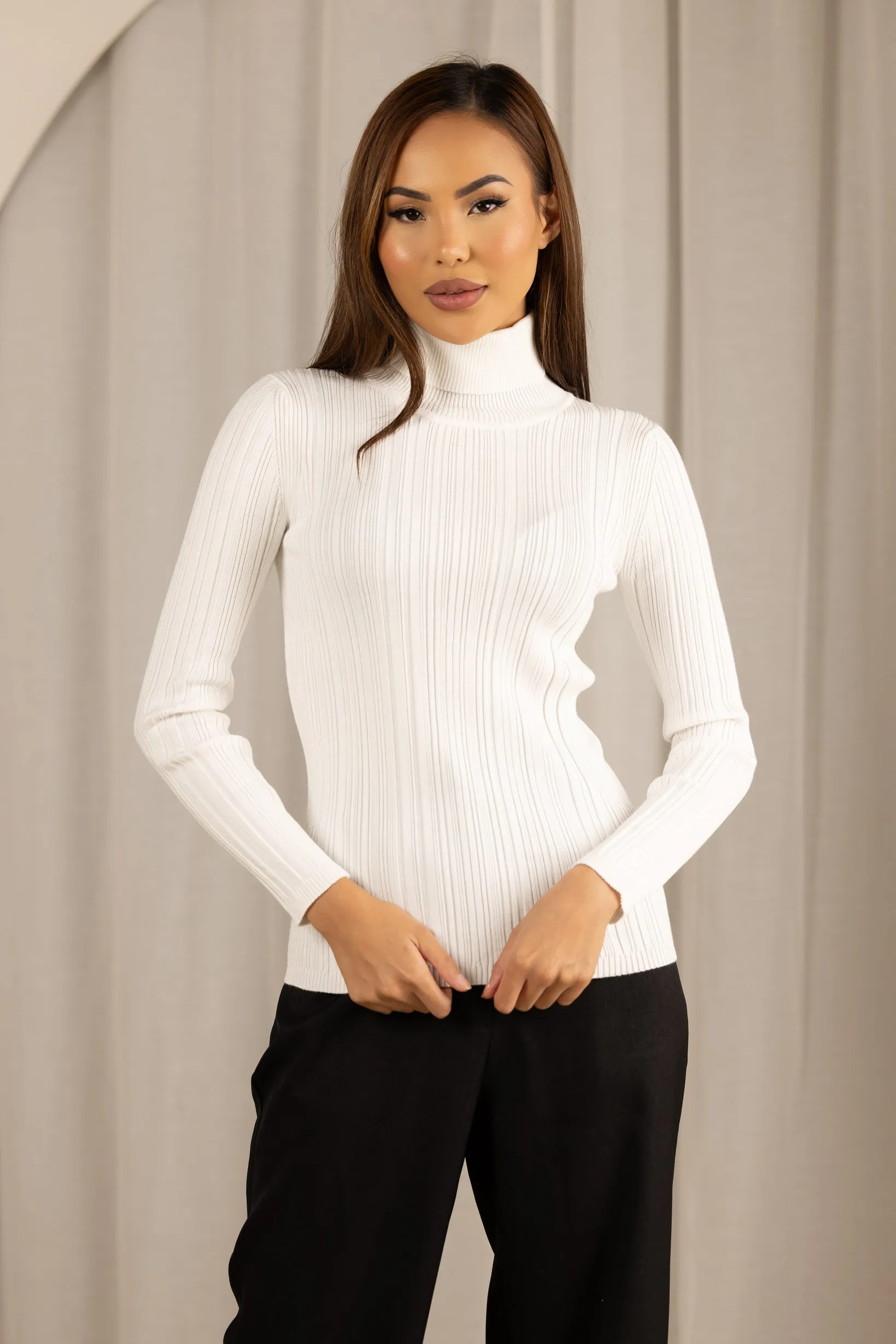 High Neck Ribbed Knit Top