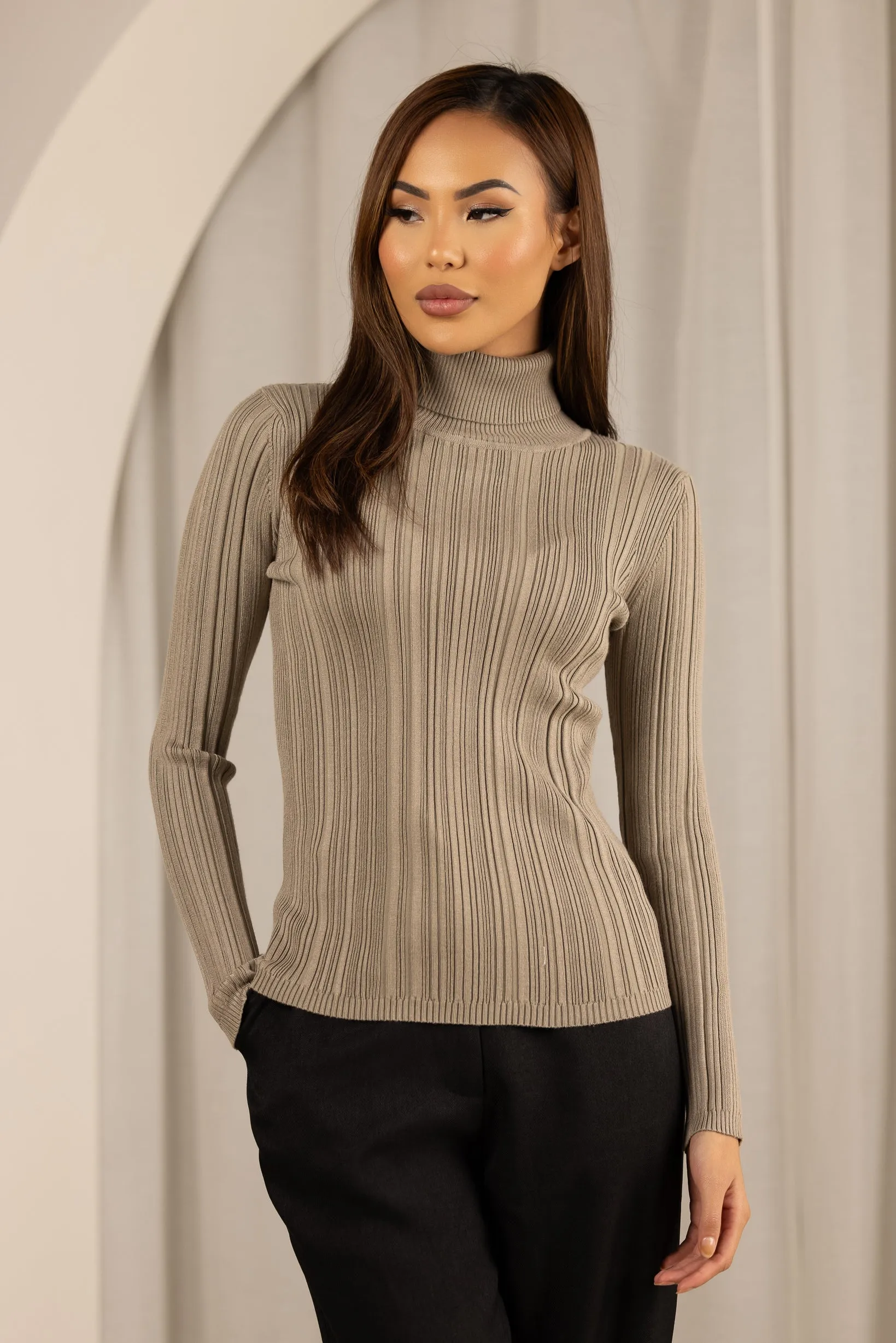 High Neck Ribbed Knit Top