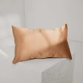 Lunya | Washable Silk Travel Pillow