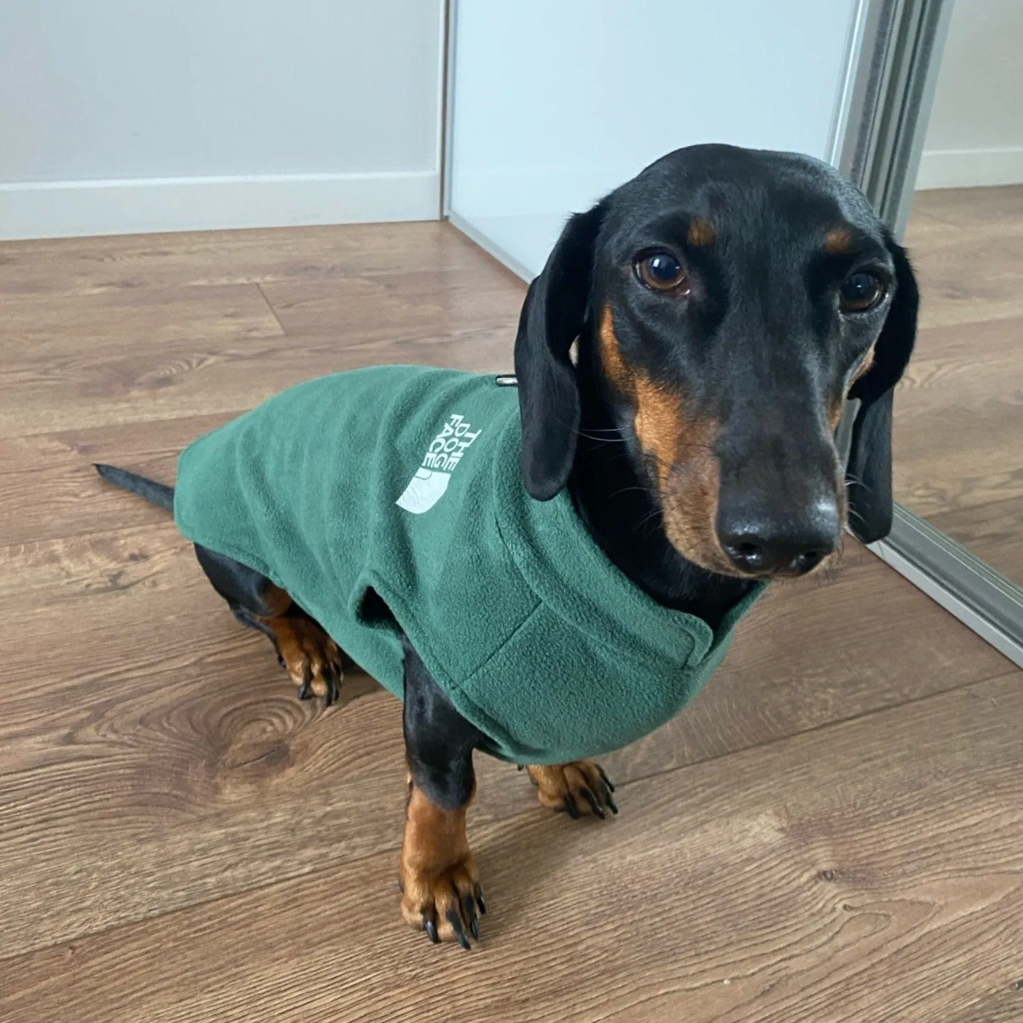 The Dog Face Dachshund Fleece Jacket